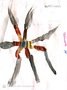 image2.jpeg