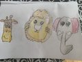 Harry animals.jpeg