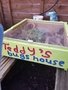 Teddy's bug house