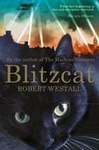 Blitz cat.jpeg