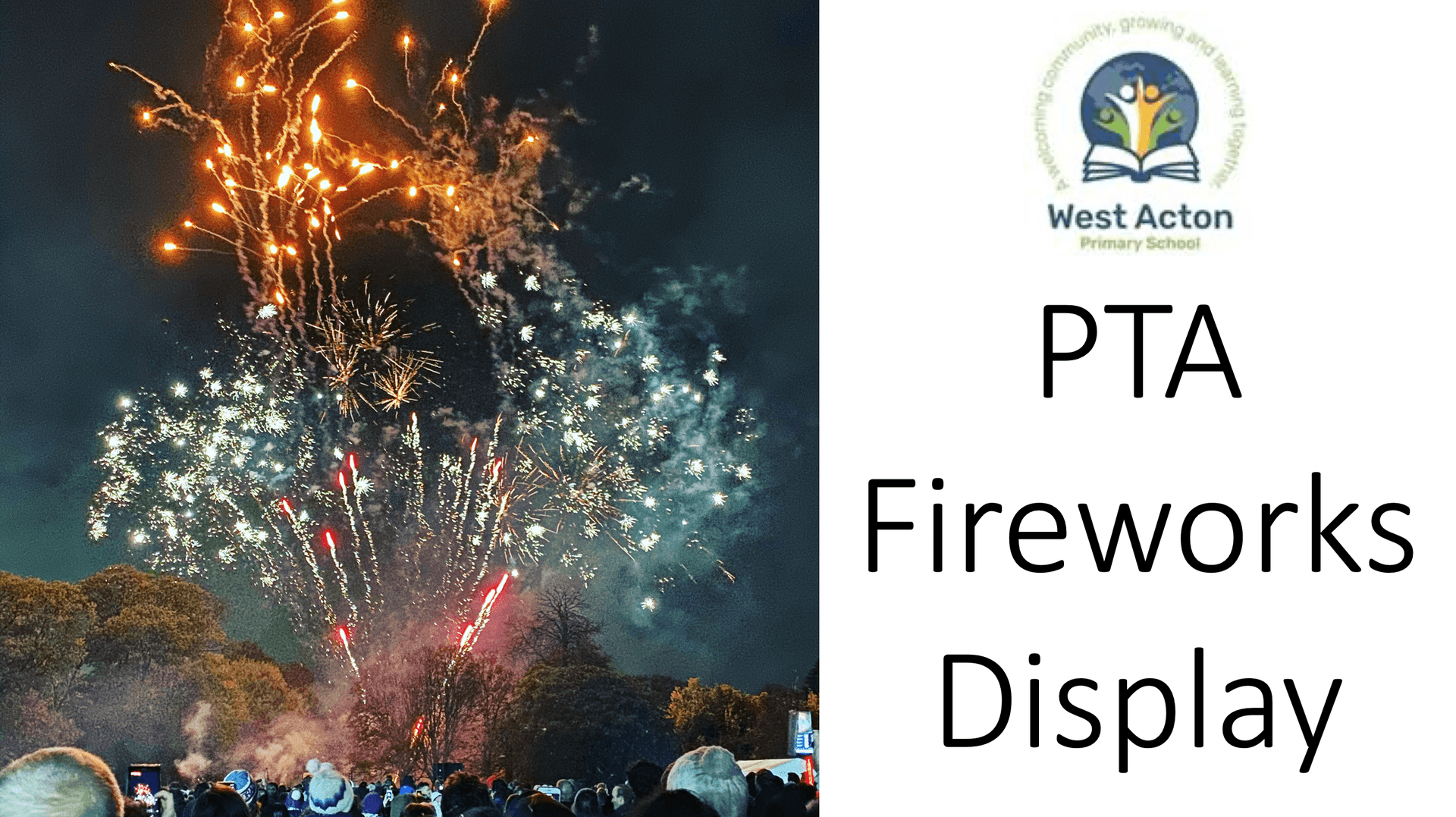 Fireworks Display