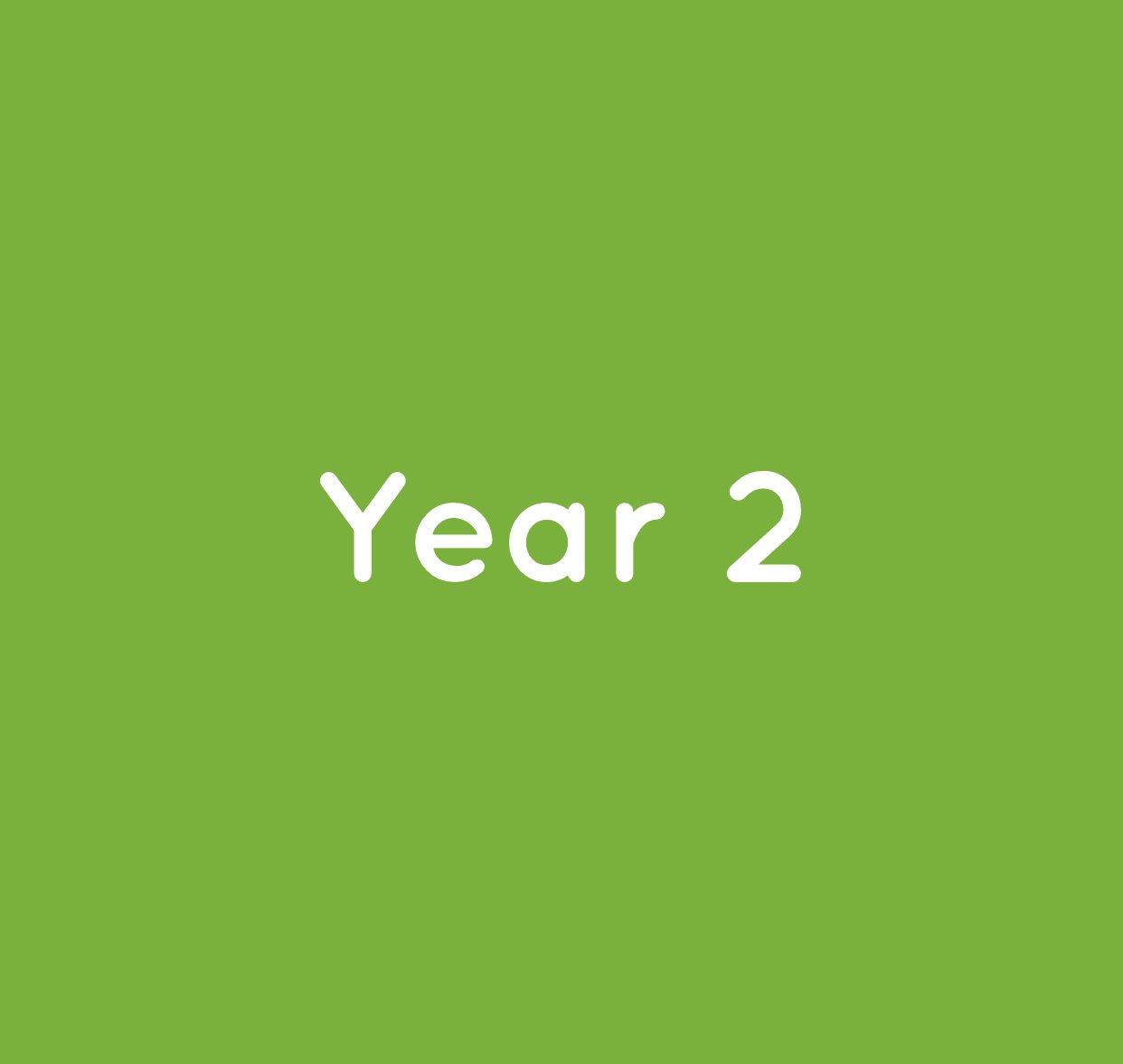 Year 2
