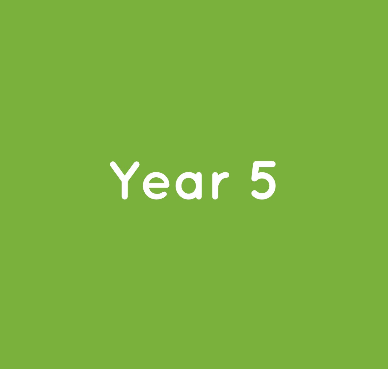 Year 5