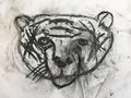 Jack Yr 5 -  Charcoal Tiger -  WOW!