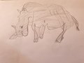 20200506_141046.jpg