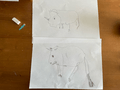 African Art - draw a rhino (6 May 2020 at 10_59).png