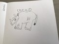cece rhino.jpeg