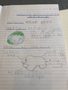 English Debating Curriculum - endangered animals (6 May 2020 at 3_48 pm).png