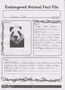 Panda_Fact_File.png