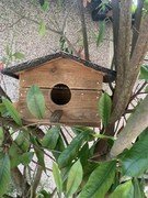 Finlay's bird house