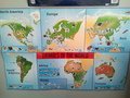 Antonia'sMap to show where animals come from 