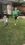 image1.jpeg