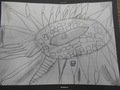 DSCN8361.JPG