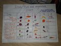 Ella chart.jpg