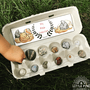 rock collection