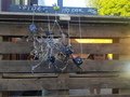 20200514_173639.jpg