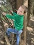 Nature walk