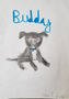 Mia Yr 3 has drawn her dog Buddy!