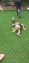 20200519_134024_resized.jpg