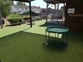IMG_20200529_125311.jpg