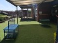 IMG_20200529_125322.jpg