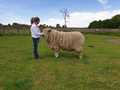 IMG-20200518-WA0002.jpg