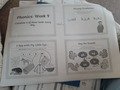 20200531_083248.jpg