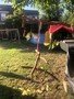 IMG_9272.jpeg