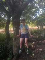 NB tree.jpg