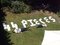 How many pieces of handmade paper did Plum and her sister make.JPG