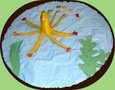 Recycle a Banana skin!