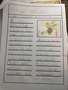 ENGLISH - A VERY DRAGONY TALE (12 Jun 2020 at 3_21 pm).png