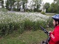 thumbnail_20200608_112912.jpg