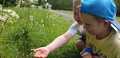 Examining wild flowers