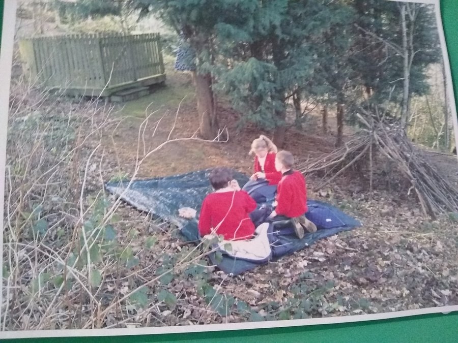 A winter picnic in the woods.