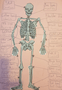 Skel (2).png