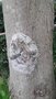20200701_153801.jpg