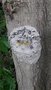 20200701_153805.jpg