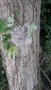 20200701_145459.jpg