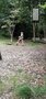 Screenshot_20200703-163801_Video Player.jpg