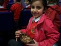 Cadbury World 053.JPG
