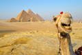 Egypt.jpg