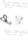 Alisa Butterfly Diary P6.jpg