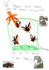 Alisa Butterfly Diary P7.jpg
