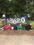 23469D08-5CA0-40C8-9A4D-9DD59D094D37.jpeg