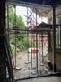 IMG_0770.jpeg