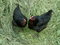 PICT0200.JPG