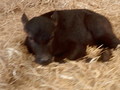 PICT0256.JPG