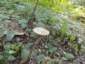 DSCN5918.JPG