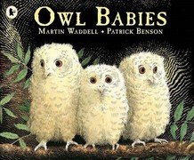 Owl Babies.jpg